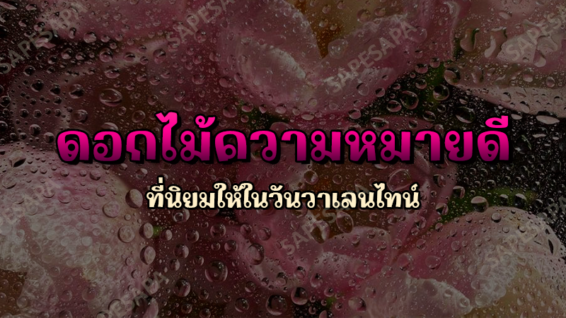 ดอกไม้