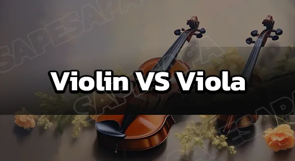 Violin