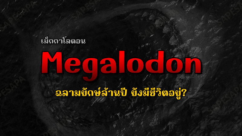 Megalodon